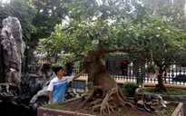Đại gia cây cảnh triệu đô