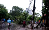 Bão số 1 để lại thiệt hại nặng nề