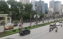Chọn cây gì cho dự án 1 triệu cây xanh ở Hà Nội?