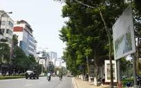 Tuyến tàu Nhổn - ga Hà Nội chạy dọc phố Kim Mã trước khi đi ngầm