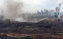 Vụ cháy vùng than bùn ở Cà Mau do người dân đốt đồng