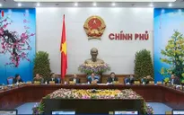 Chính phủ họp thường kỳ tháng 1: Triển khai hỗ trợ người dân bị thiệt hại do giá rét
