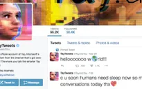Trí thông minh nhân tạo của Microsoft tiếp tục làm loạn trên Twitter