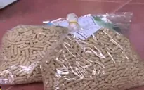 Chiêu mới sử dụng chất cấm trong chăn nuôi