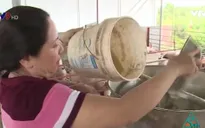 Nghệ An: 100% hộ chăn nuôi Diễn Châu cam kết không sử dụng chất cấm