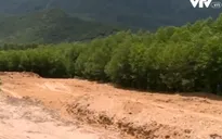 “Chất thải của Formosa chôn để phục vụ trồng trọt là điều không tưởng”