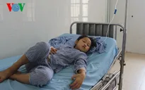 Sơn La: 4 người ngộ độc do ăn nấm dại