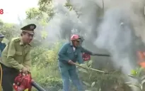 Cảnh báo cháy rừng cấp nguy hiểm tại Đà Nẵng