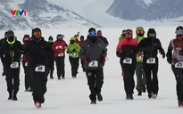 Sôi động cuộc thi chạy Marathon ở châu Nam Cực