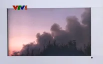 14 hecta rừng ở Cà Mau bị cháy rụi