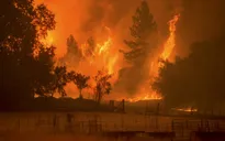 Cháy rừng ở Los Angeles, 5.000 người phải sơ tán