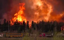 Cháy rừng - Thảm họa tốn kém nhất trong lịch sử Canada?