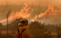 Mỹ nỗ lực khống chế cháy rừng ở bang California