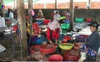 Nhiều doanh nghiệp thủy sản thiếu nguyên liệu sản xuất