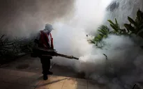 Số người nhiễm virus Zika tại Trung Quốc nâng lên 12 người