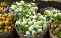 Sôi động Ngày hội Chợ nổi Cái Răng