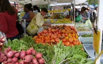 Greenmarket - Chợ nông sản sạch tại Mỹ
