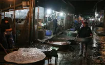 Hiếm hàng ở chợ cá “ma”