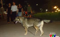 Khó ngăn ngừa bệnh chó dại ở nhiều vùng quê