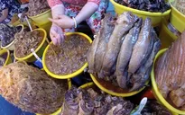 Thăm vương quốc mắm ở chợ Châu Đốc, An Giang