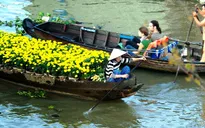 Vẻ đẹp rực rỡ của chợ nổi Cái Răng vào mùa Xuân