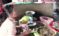 Hệ lụy khó lường từ cho vay nặng lãi ở Quảng Ngãi
