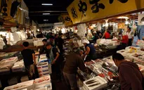 Kế hoạch chợ cá mới ở Tokyo vướng vì nguồn nước ô nhiễm