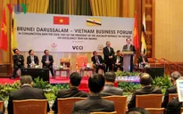 Chủ tịch nước dự Diễn đàn Doanh nghiệp Việt Nam - Brunei
