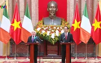 Quan hệ Việt Nam - Ireland đã đạt được những kết quả tích cực