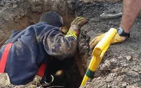 Chú chó sống sót thần kỳ sau 72 giờ bị chôn sống