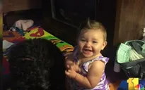 Chú chó hy sinh thân mình để bảo vệ chủ trong vụ hỏa hoạn