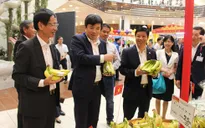 Chuối Việt Nam chính thức vào siêu thị Aeon