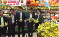 Chuối Việt “vượt rào”, chinh phục thị trường Nhật Bản