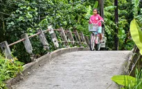 Lãnh đạo TP Cần Thơ chỉ đạo làm rõ vụ đập lan can cầu nông thôn