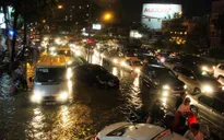 TP.HCM: Mưa lớn gây ngập lụt nghiêm trọng, cây xanh bật gốc đè vào ô tô