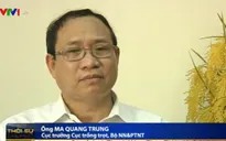 Hiện tượng hạn mặn bất thường - Các chuyên gia nói gì?