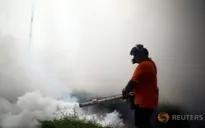 Thái Lan đứng trước nguy cơ bùng phát dịch Zika