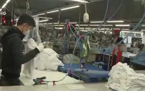 TT-Huế: Trên 90% công nhân trở lại làm việc sau Tết