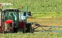 EU từ chối gia hạn sử dụng thuốc diệt cỏ chứa chất glyphosate