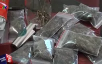 Vũng Tàu bắt quả tang vụ mua bán "cỏ Mỹ"