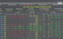 Người dân mê mẩn cổ phiếu có giá "không thể rẻ hơn"