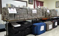 Peru thu giữ 1,2 tấn cocaine tại khu vực trồng cây coca lớn nhất nước