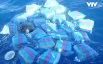 Mexico thu giữ gần 1 tấn cocaine trên biển Thái Bình Dương
