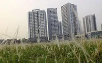Chính phủ vào cuộc, nhà ở xã hội cho người thu nhập thấp sẽ đạt mục tiêu 1 triệu căn?