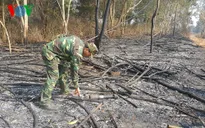 Khô hạn nặng, nguy cháy rừng cao tại ĐBSCL