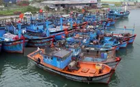 TP.HCM sẵn sàng ứng phó với áp thấp nhiệt đới