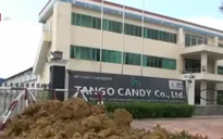 Long An rà soát lại phí quản lý hạ tầng tại các khu công nghiệp