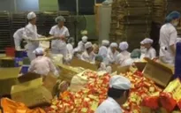Tiêu hủy gần 40.000 bánh pía giả