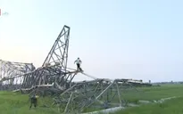 Giám định tìm nguyên nhân sự cố đổ cột điện 500KV