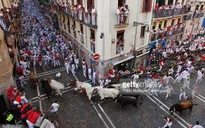Lễ hội bò rượt San Fermin mạo hiểm tại Tây Ban Nha